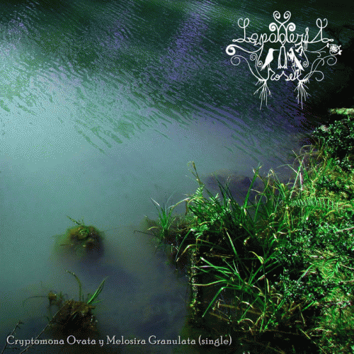 Lapageria Rosea : Cryptomona Ovata y Melosira Granulata